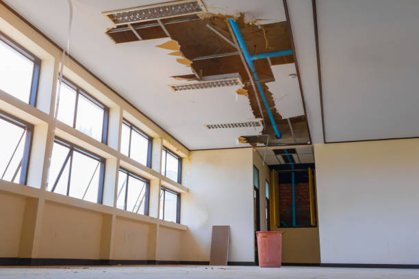 Best Water damage restoration insurance claims  in Saukville, WI