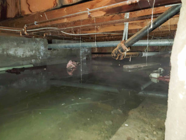 Best Water damage cleanup near me  in Saukville, WI