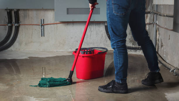 Best Basement water damage restoration  in Saukville, WI
