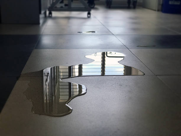 Best Emergency water damage restoration  in Saukville, WI