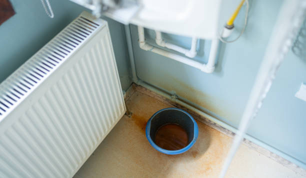 Best Water damage restoration near me  in Saukville, WI