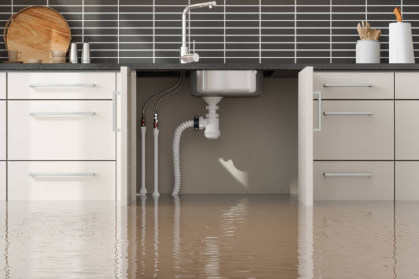 Best Flood damage cleanup  in Saukville, WI